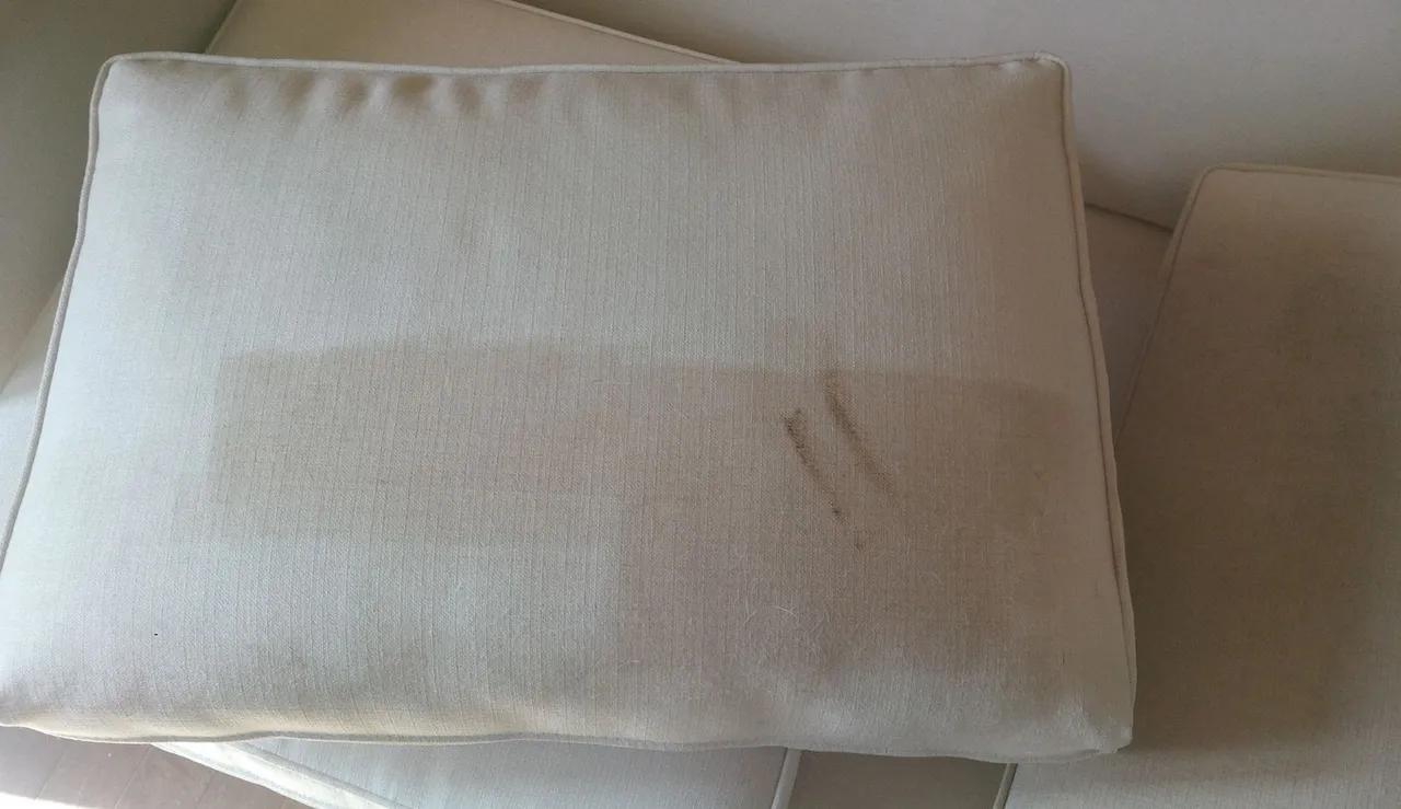 Upholstery Cleaning