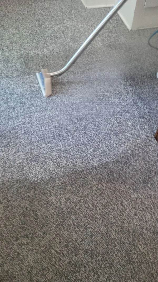 Carpet Cleaning