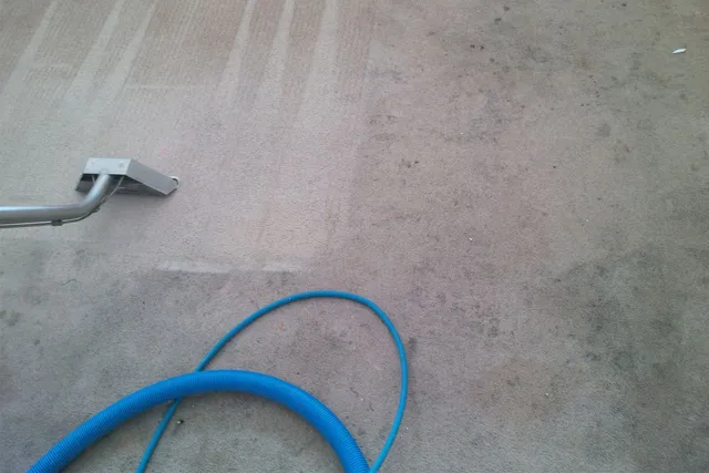 vacuum cleaner is cleaning a carpet