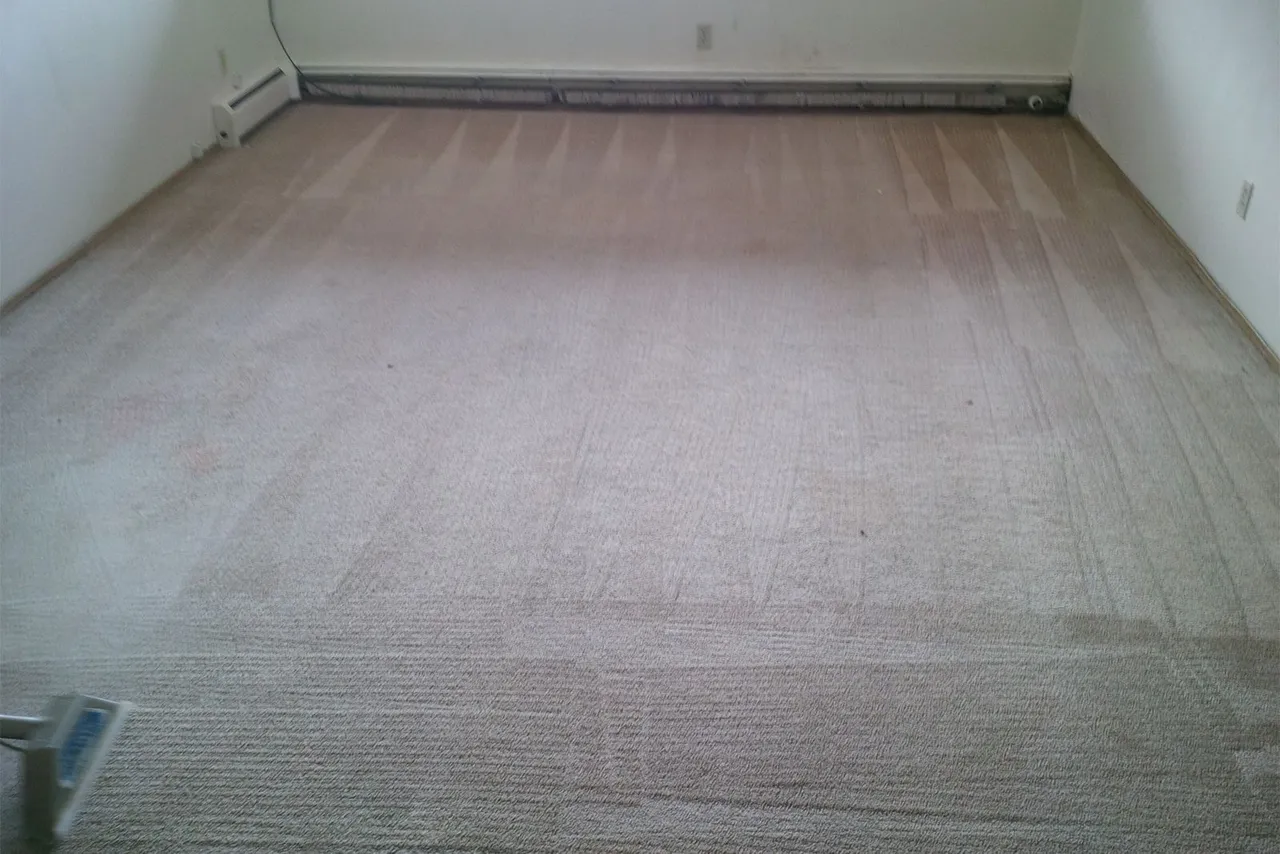Carpet Cleaning
